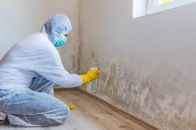 Best Commercial Mold Inspection  in Derby, KS