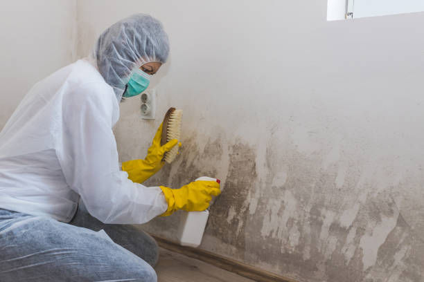 Best Residential Mold Inspection & Testing  in Derby, KS